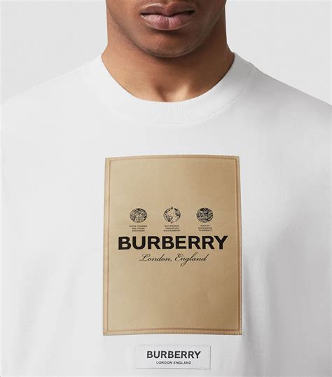 burberry tshirt collar|burberry shirts price range.